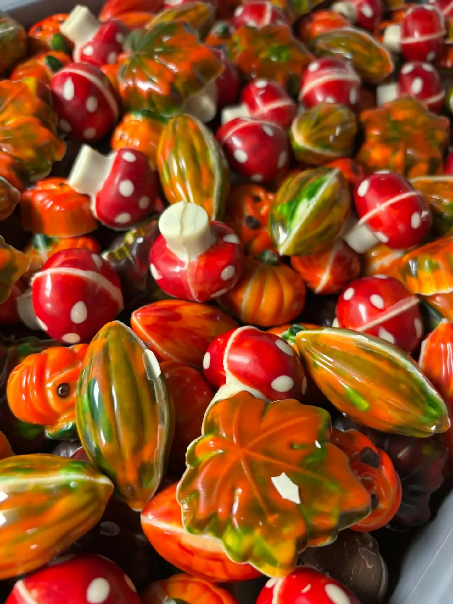 Fruits d'automne (125g)