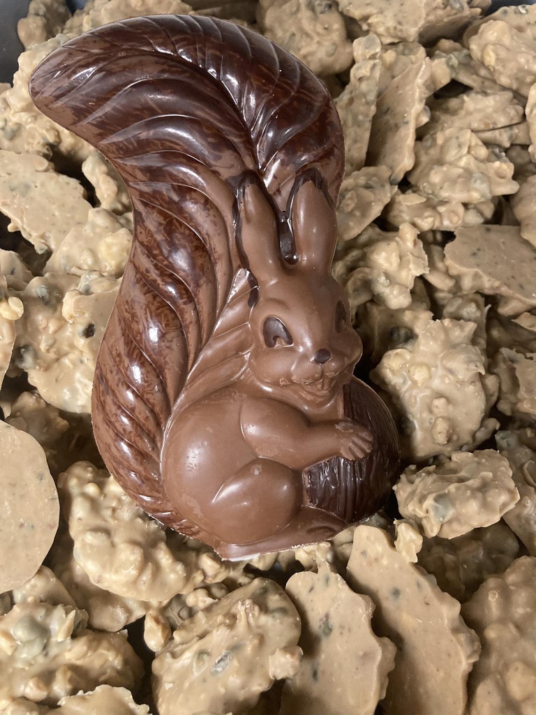 Délice de l'écureuil (5 pièces)